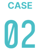 CASE 02