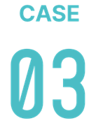 CASE 03